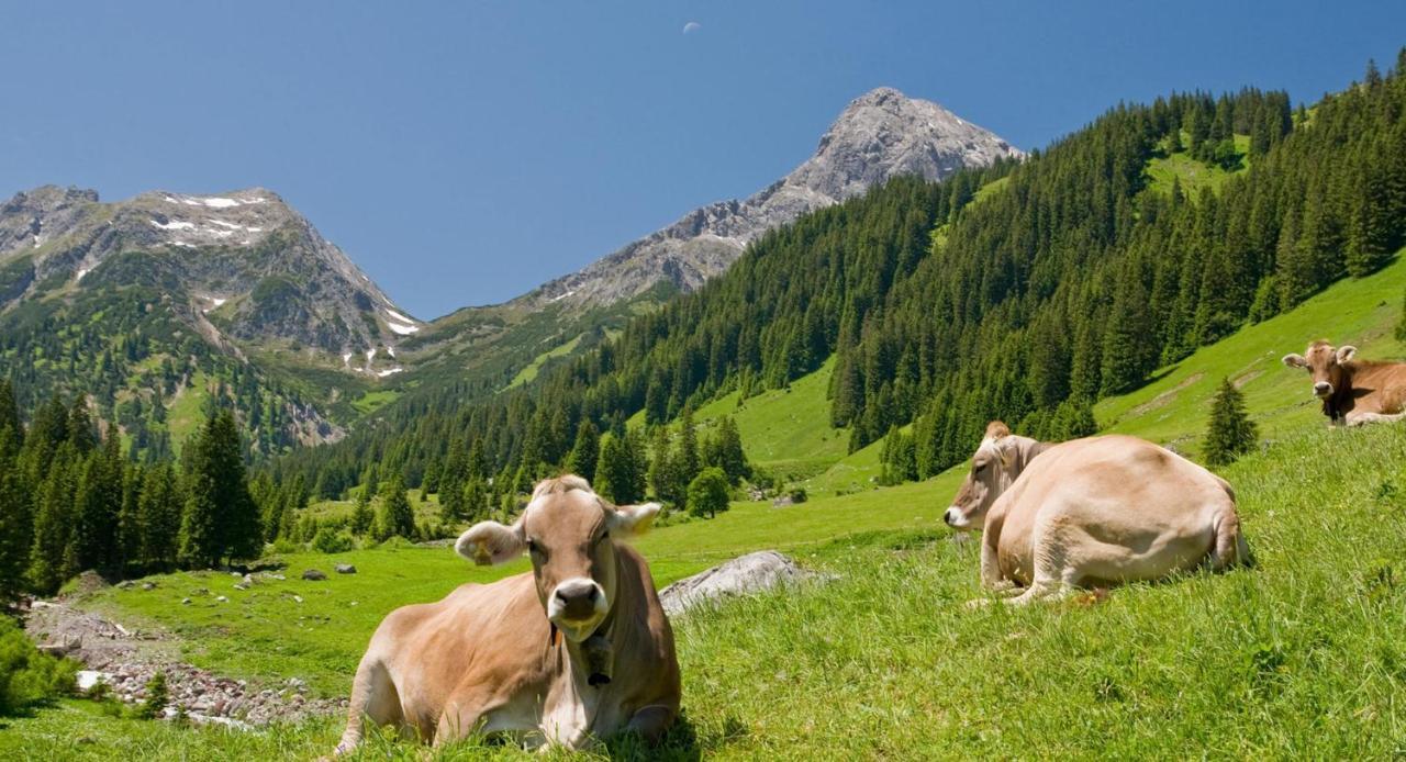 Center Parcs Park Allgaeu Leutkirch im Allgäu Buitenkant foto